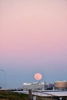 20211219_fullmoon_and_nightview (25).JPG